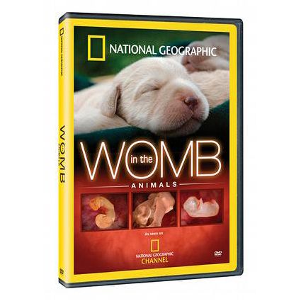 In the Womb Animals DVD