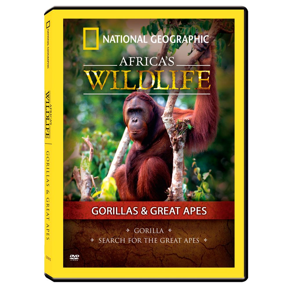 Africa's Wildlife Collection Gorillas and Great Apes DVD