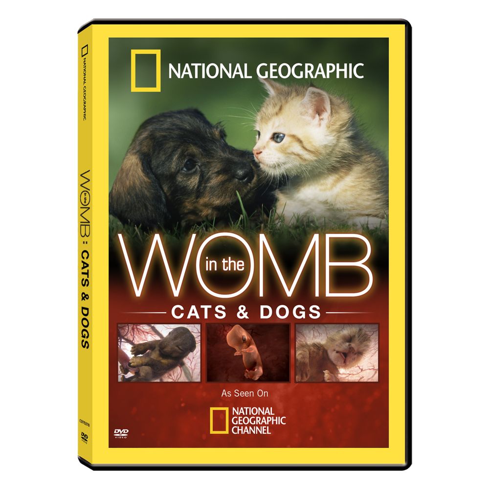In the Womb: Cats and Dogs DVD