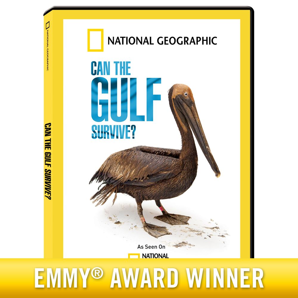 Can the Gulf Survive? DVD