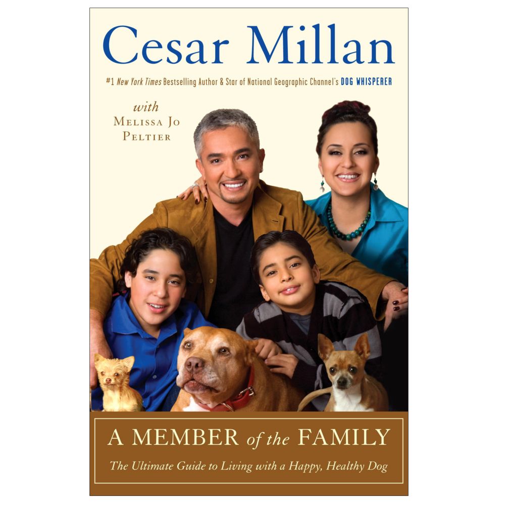 Member of the Family - Softcover