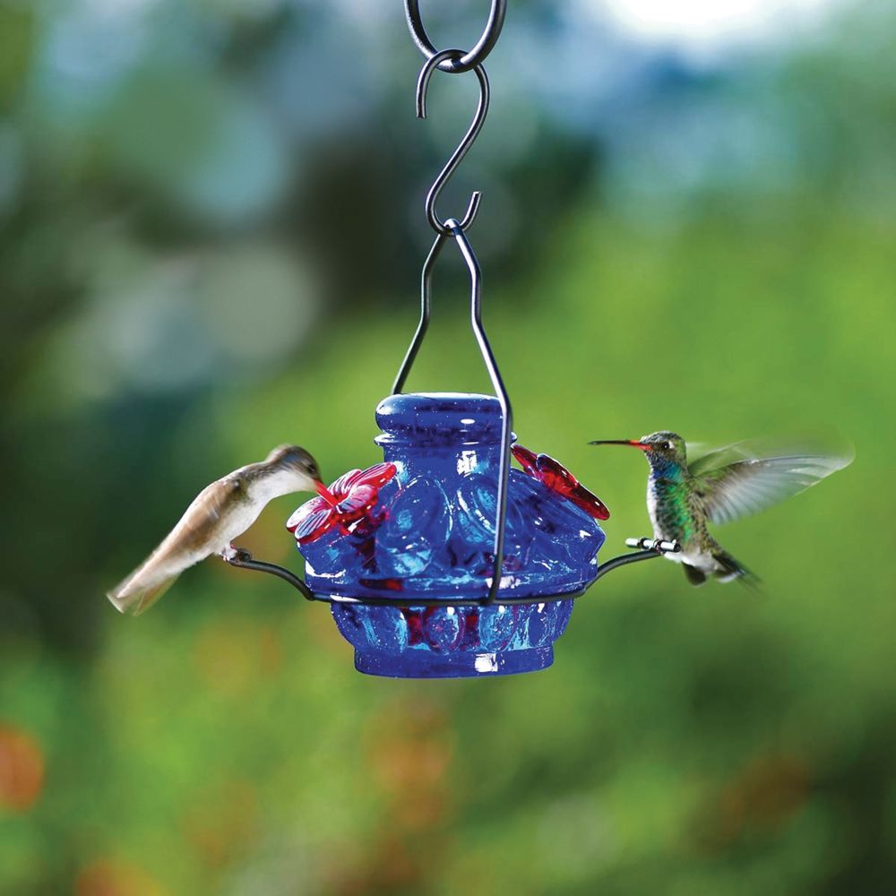 Blue Hummingbird Mini-feeder