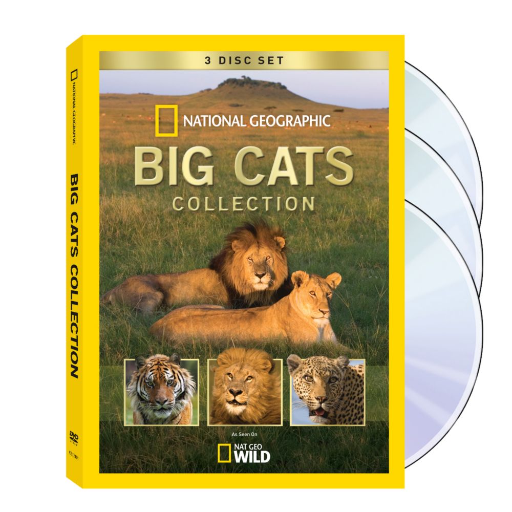 National Geographic Big Cats 3-DVD Set