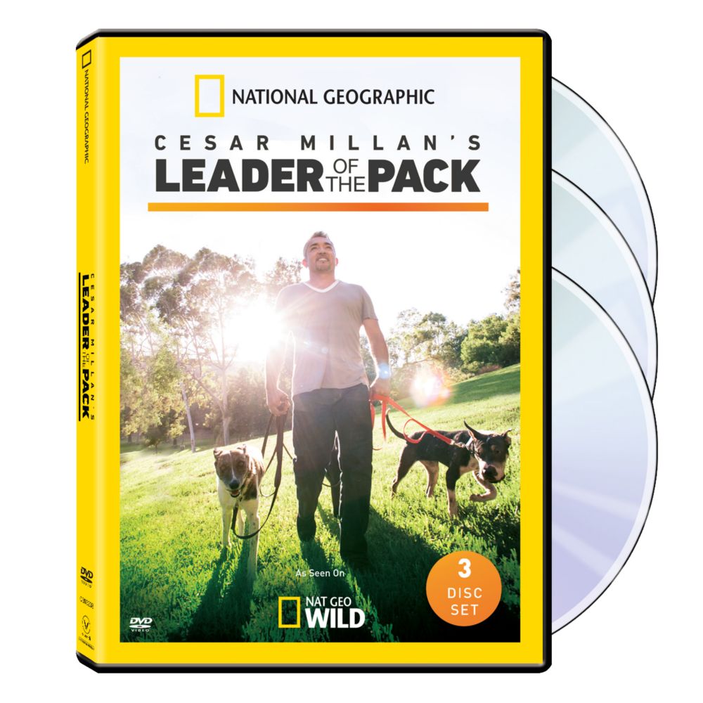 Cesar Millan's Leader of the Pack DVD