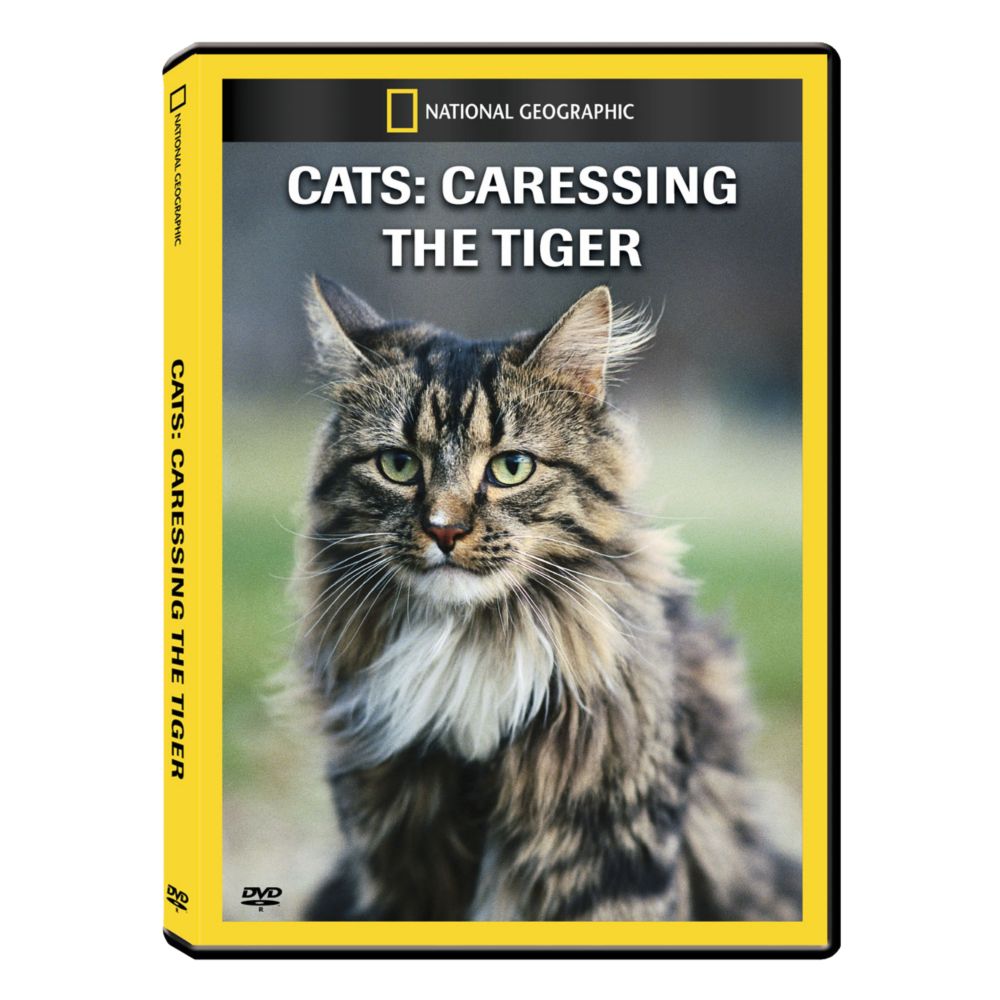 Cats: Caressing the Tiger DVD Exclusive