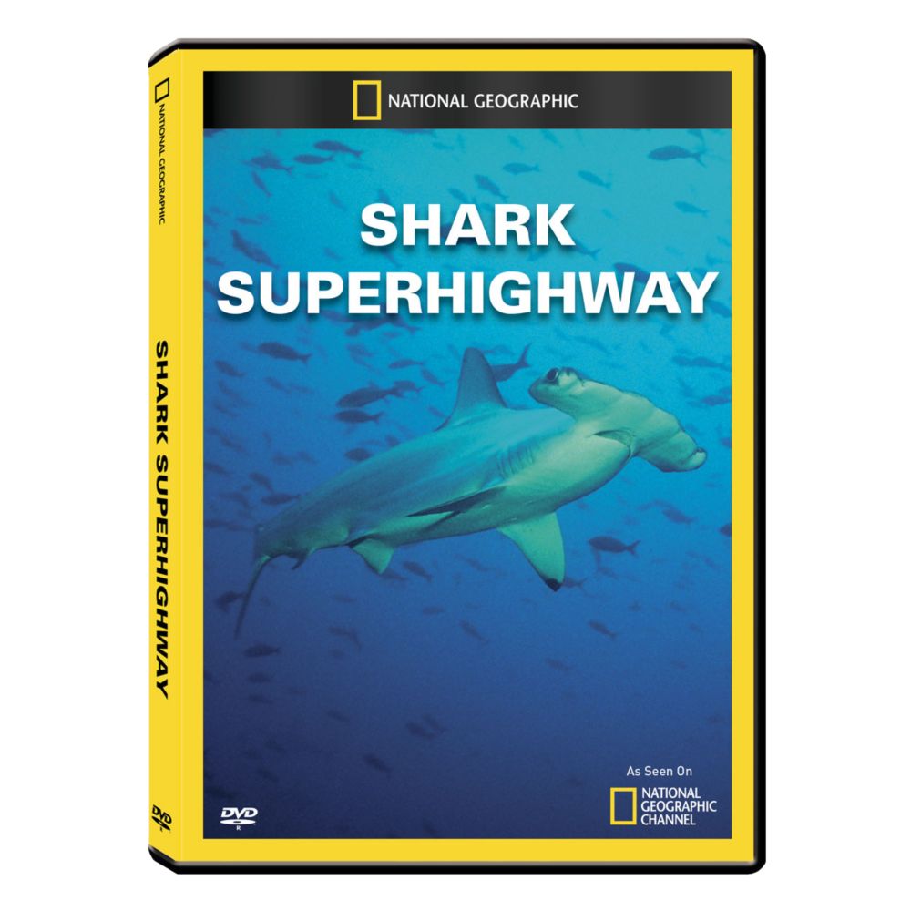 Shark Superhighway DVD Exclusive