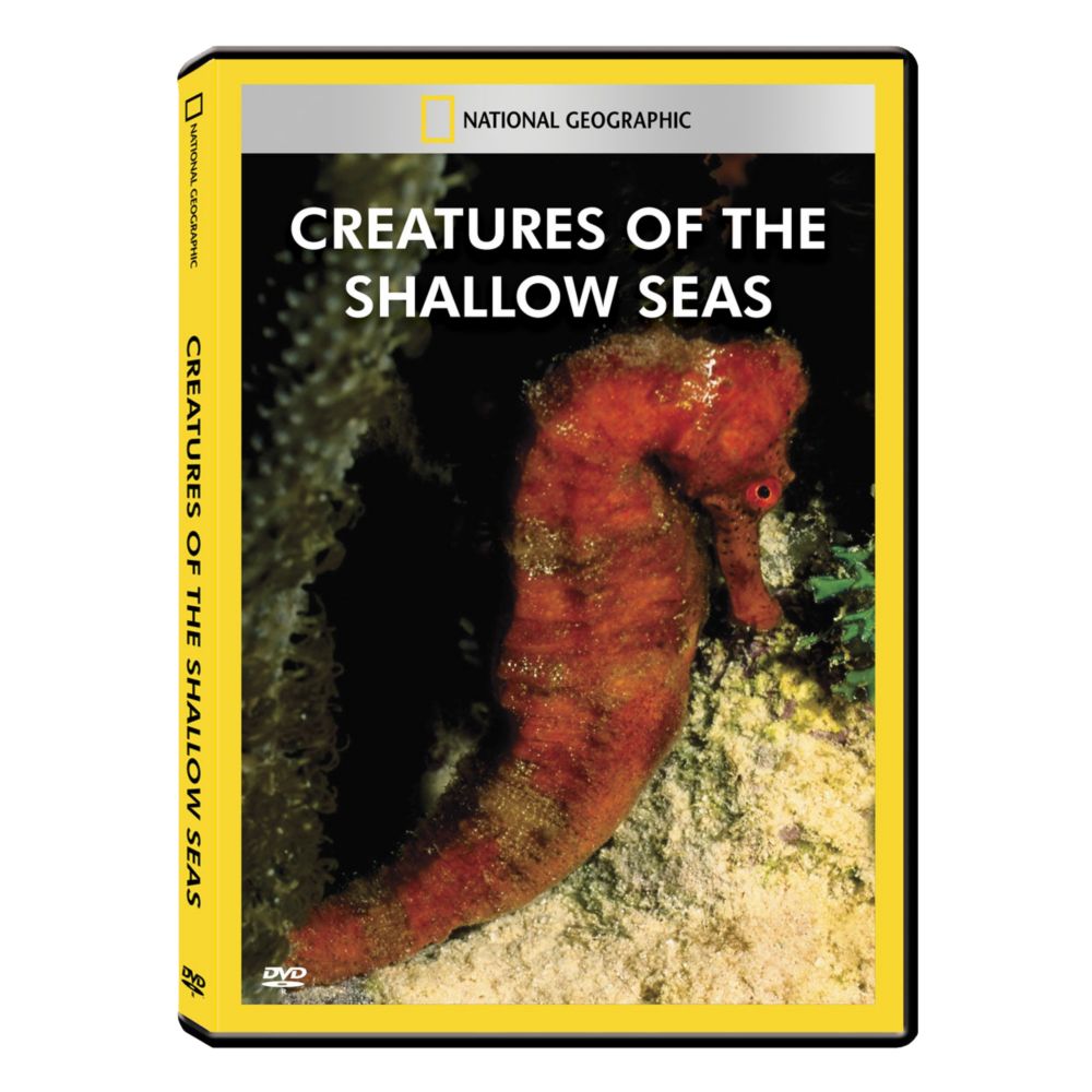 Creatures of the Shallow Seas DVD Exclusive