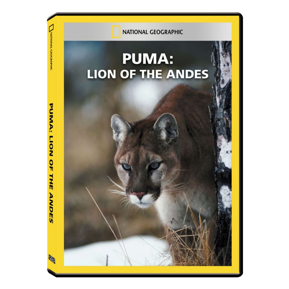 Puma: Lion of the Andes DVD Exclusive