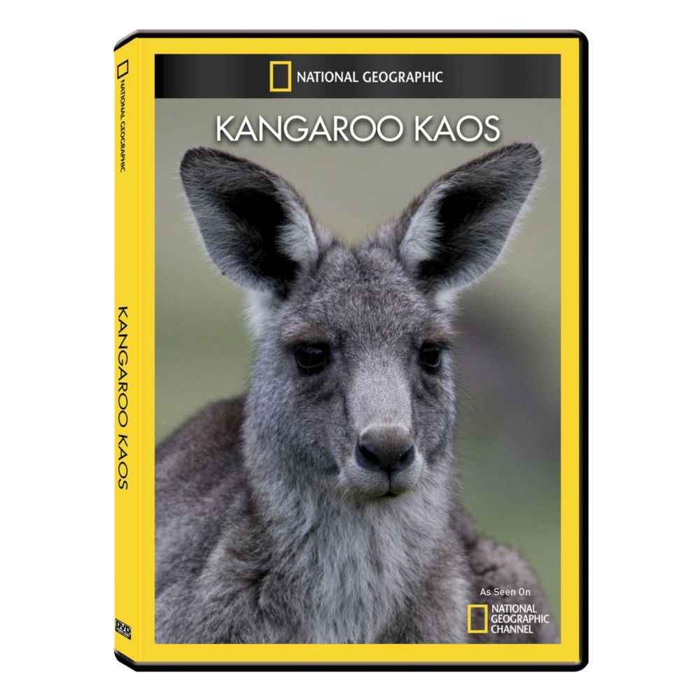 Kangaroo Kaos DVD Exclusive