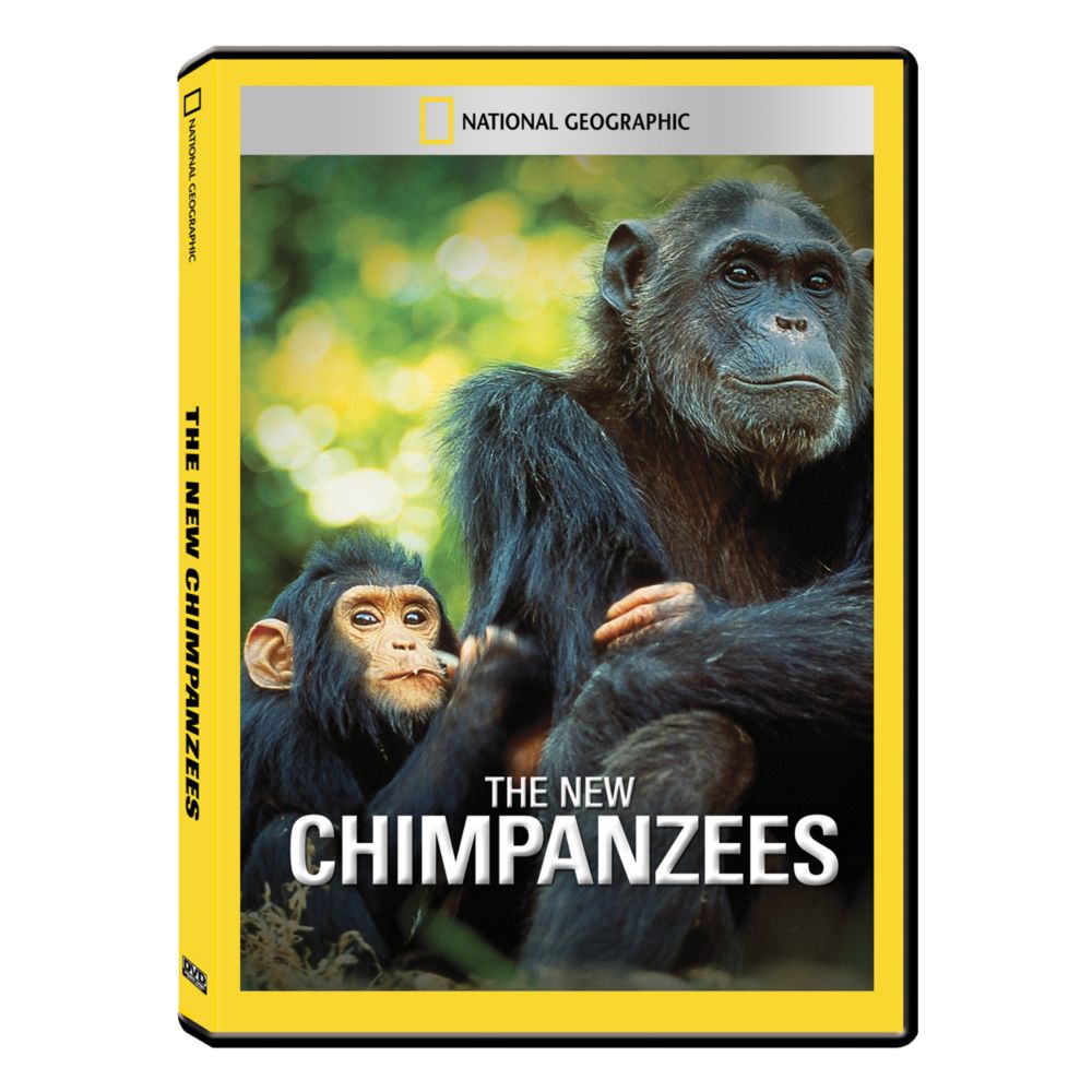 The New Chimpanzees DVD Exclusive