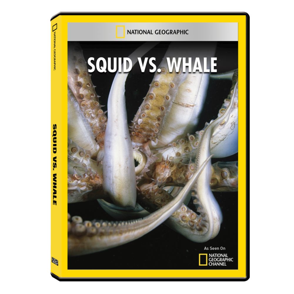Squid vs. Whale DVD-R