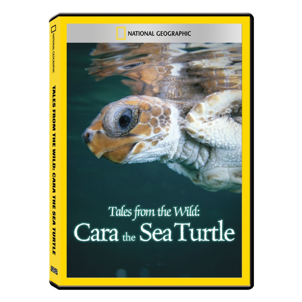 Tales from the Wild: Cara the Sea Turtle DVD Exclusive