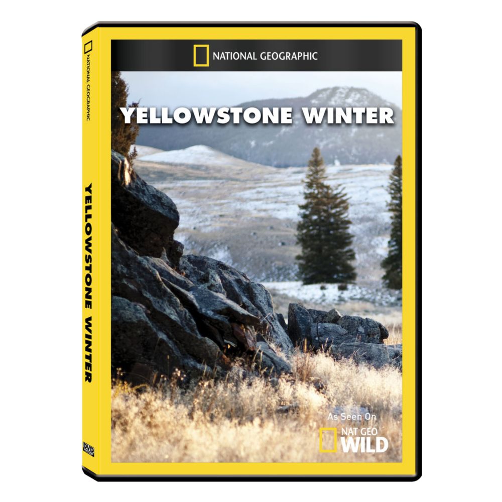 Yellowstone Winter DVD Exclusive