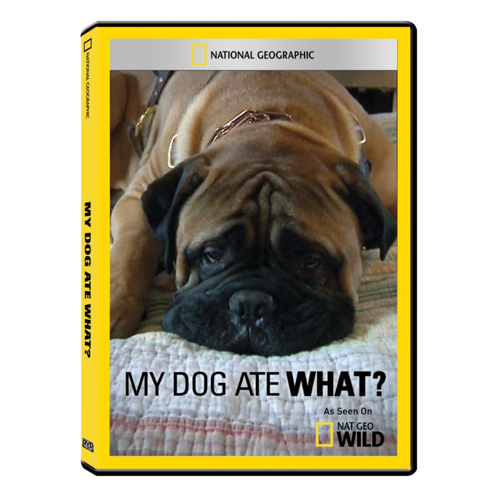 My Dog Ate What? DVD Exclusive