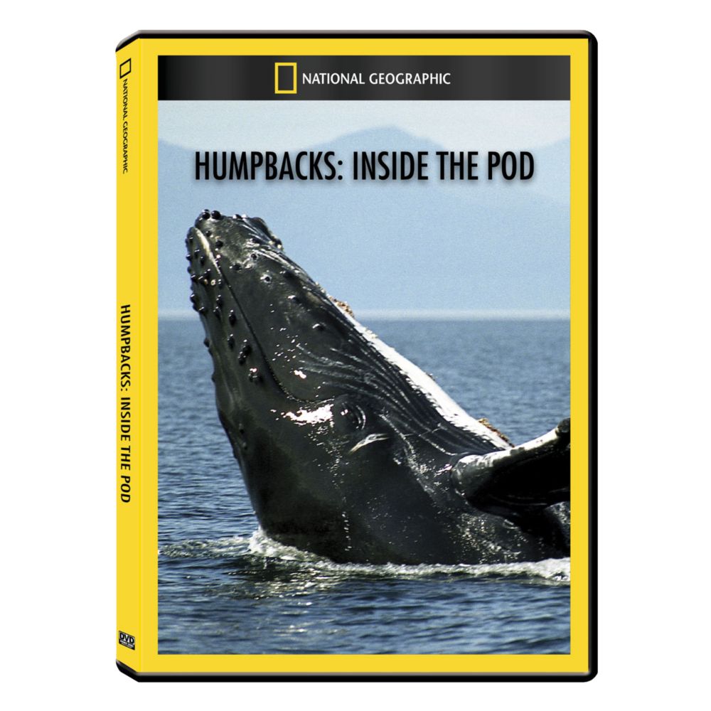 Humpbacks: Inside the Pod DVD Exclusive