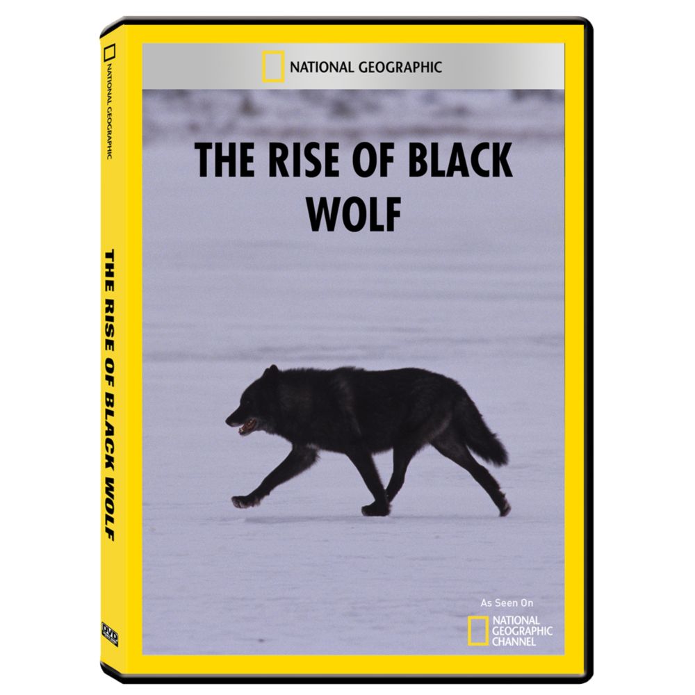 The Rise of Black Wolf DVD-R