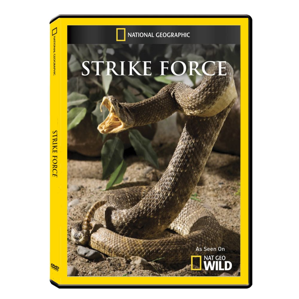 Strike Force DVD-R