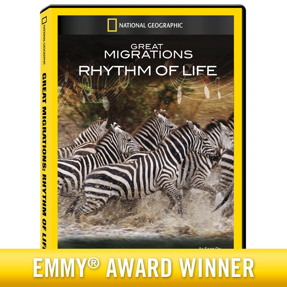 Great Migrations: Rhythm of Lif...