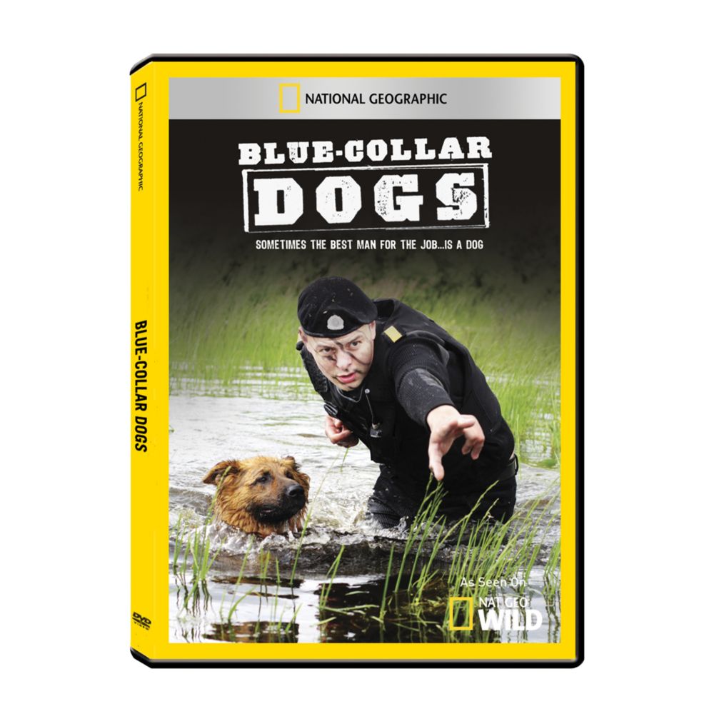 Blue-Collar Dogs DVD-R