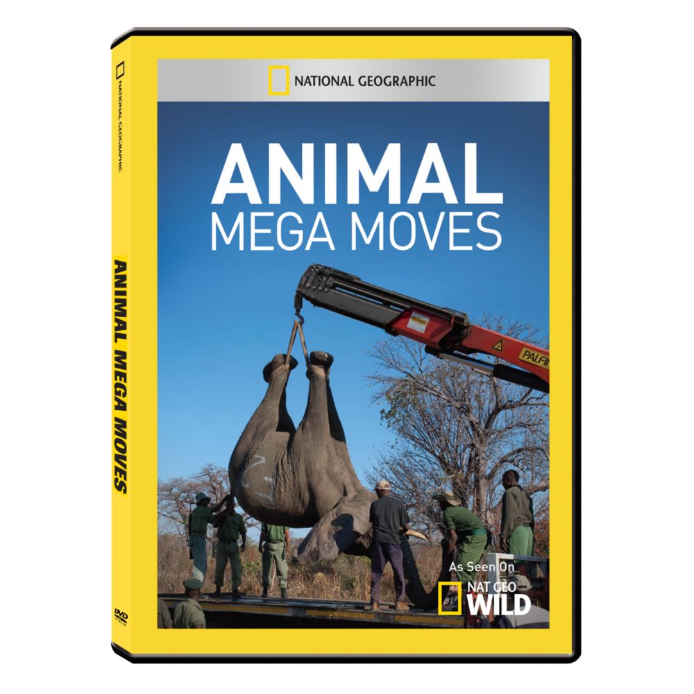Animal Mega Moves DVD-R