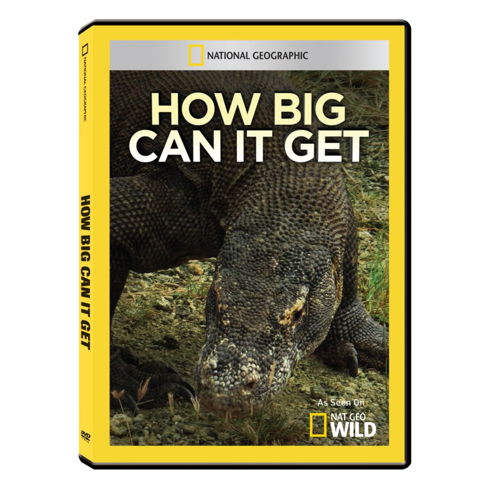 How Big Can It Get DVD-R