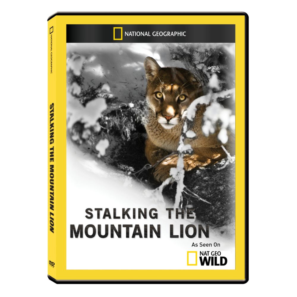 Stalking the Mountain Lion DVD-R