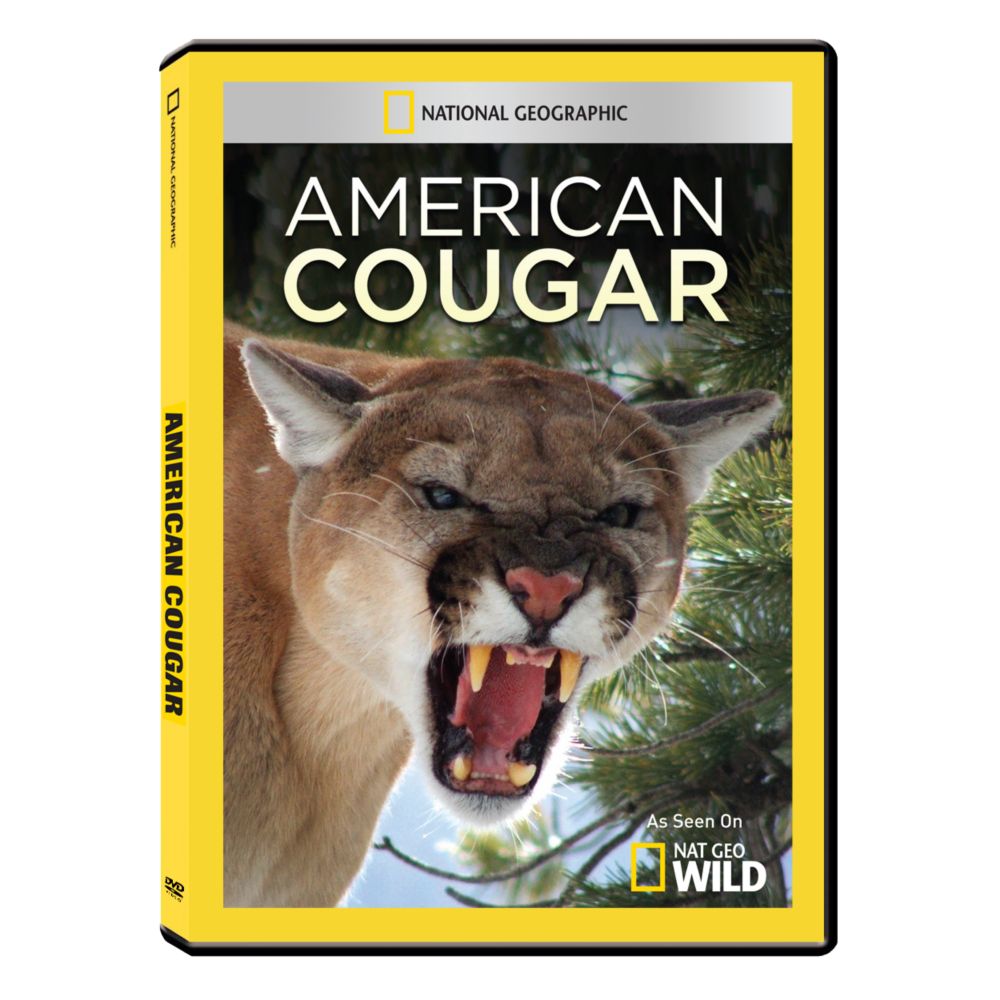 American Cougar DVD-R