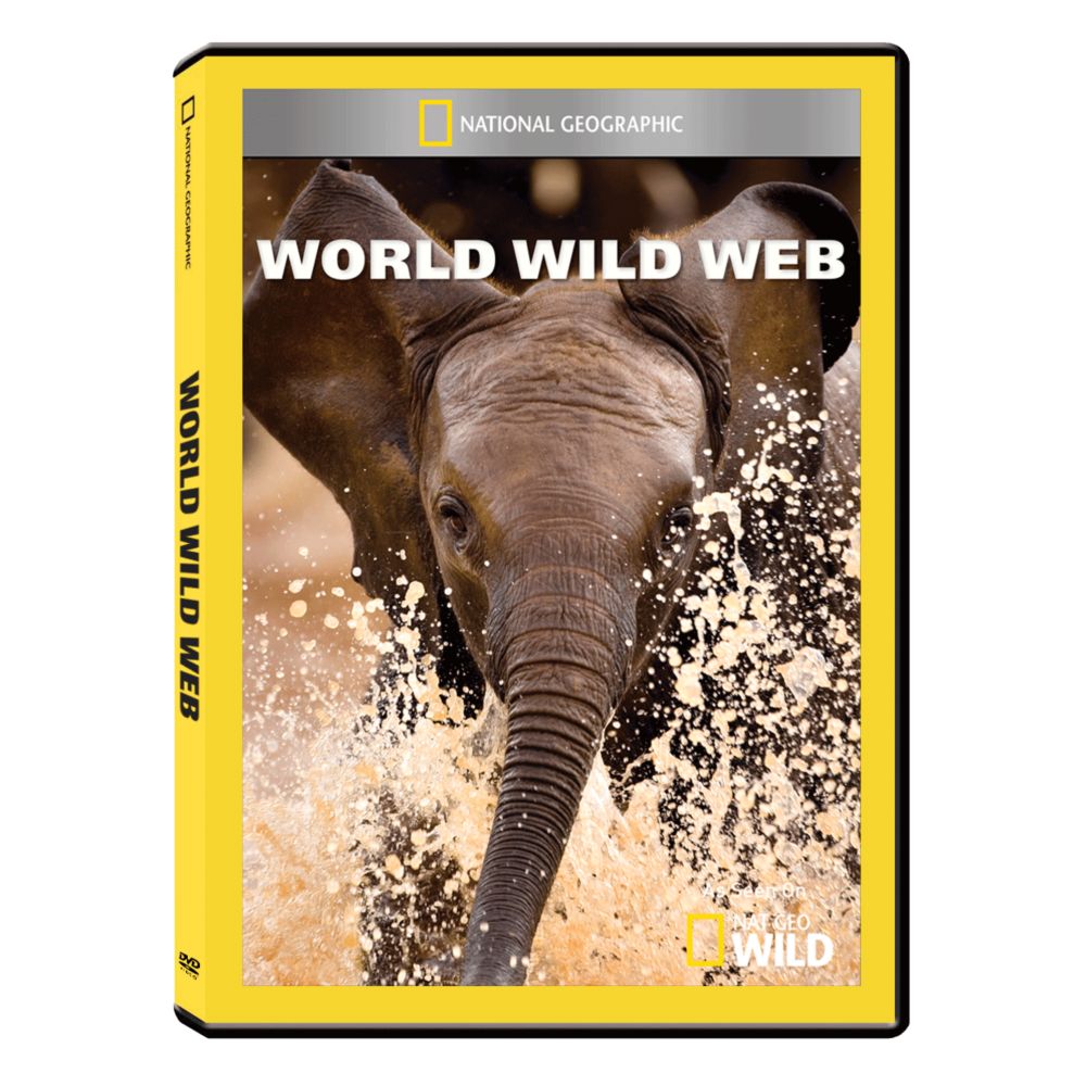 World Wild Web DVD-R