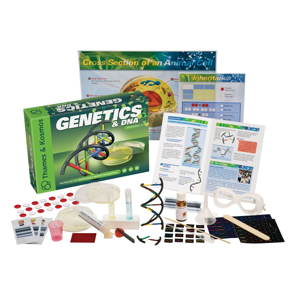 Genetics and DNA Kit