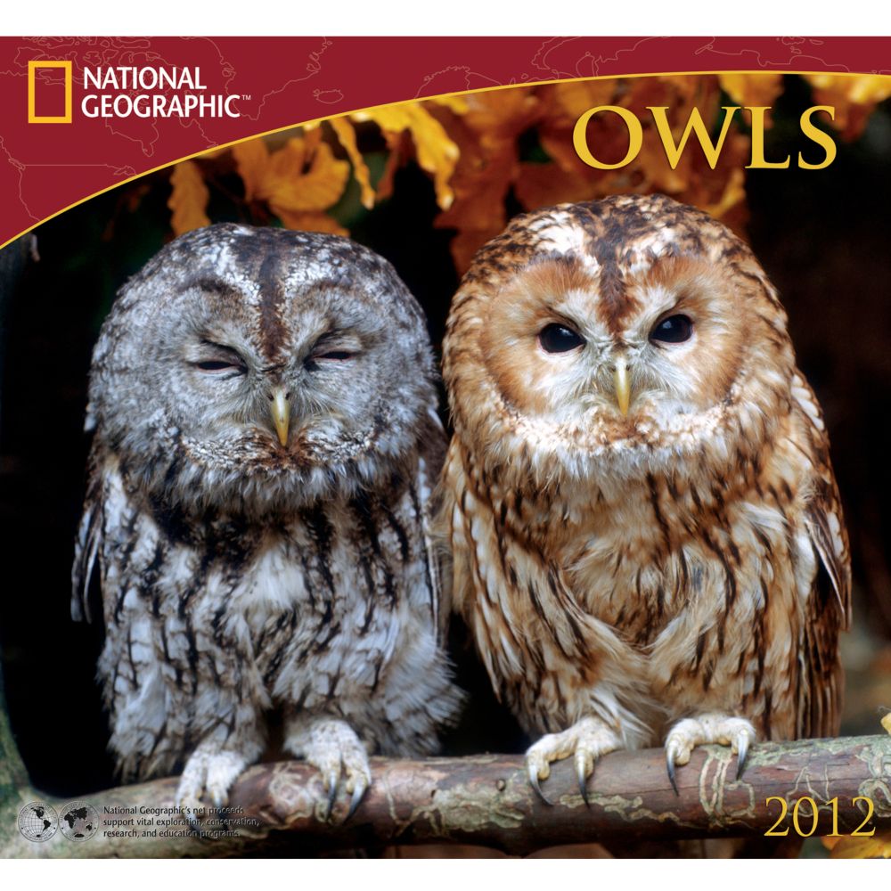 2012 National Geographic Owls Wall Calendar