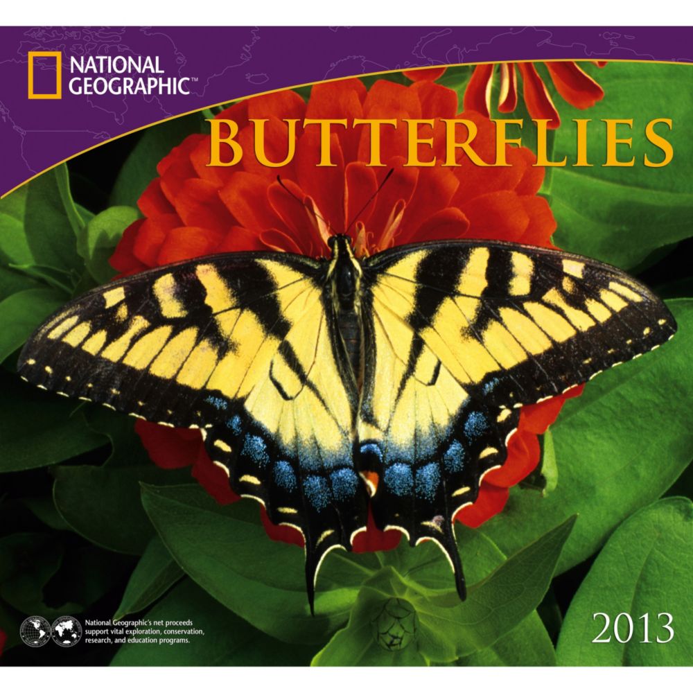 2013 National Geographic Butterflies Wall Calendar