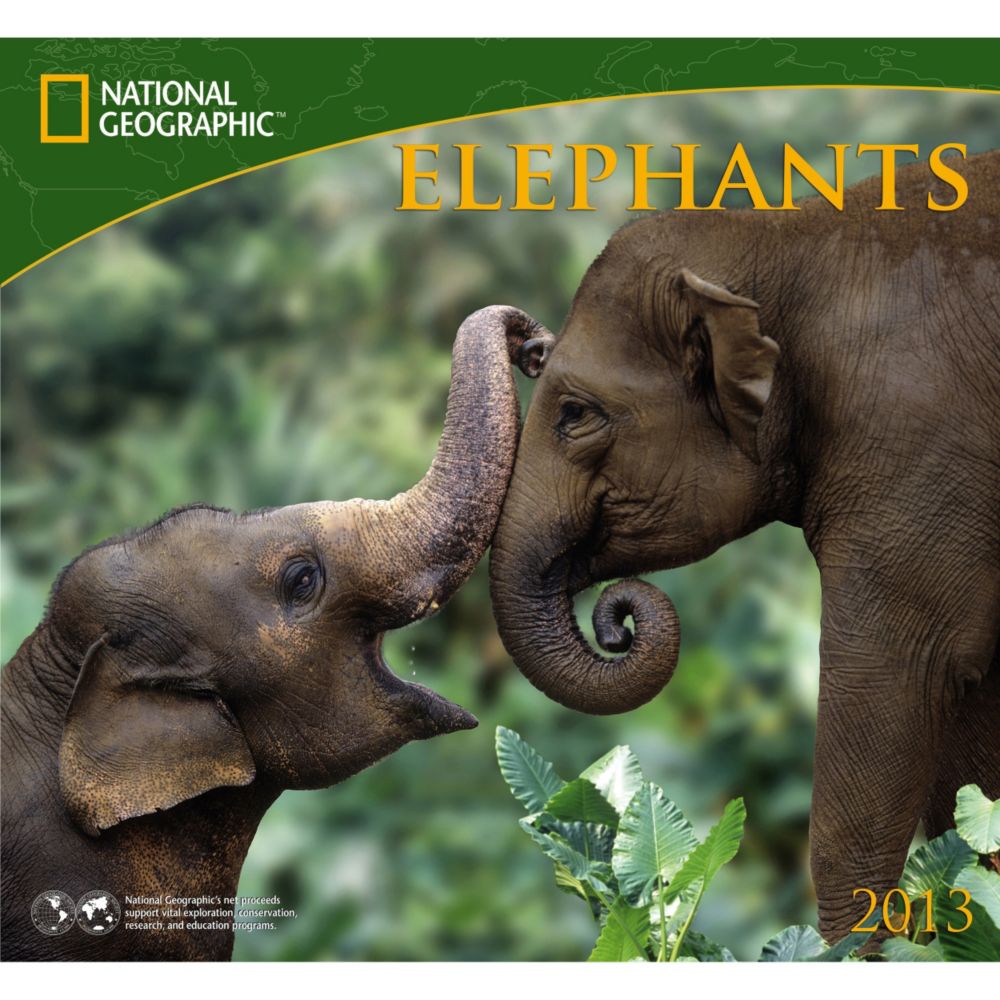 2013 National Geographic Elephants Wall Calendar