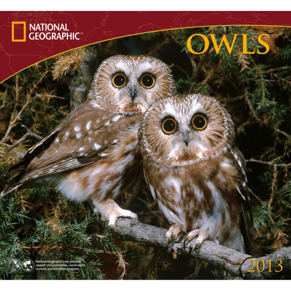 2013 National Geographic Owls Wall Calendar