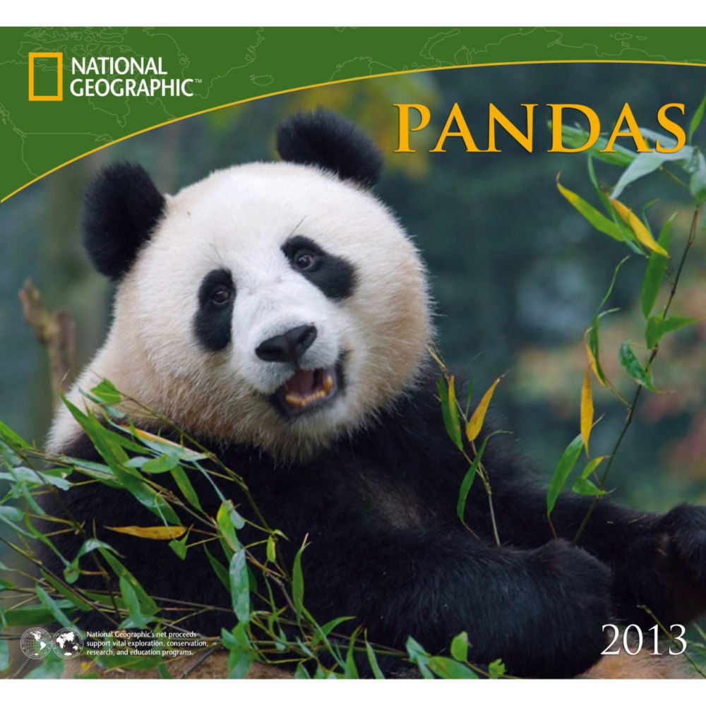 2013 National Geographic Pandas Wall Calendar