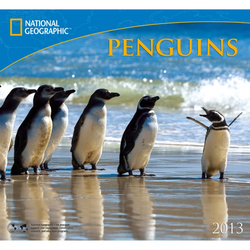 2013 National Geographic Penguins Wall Calendar