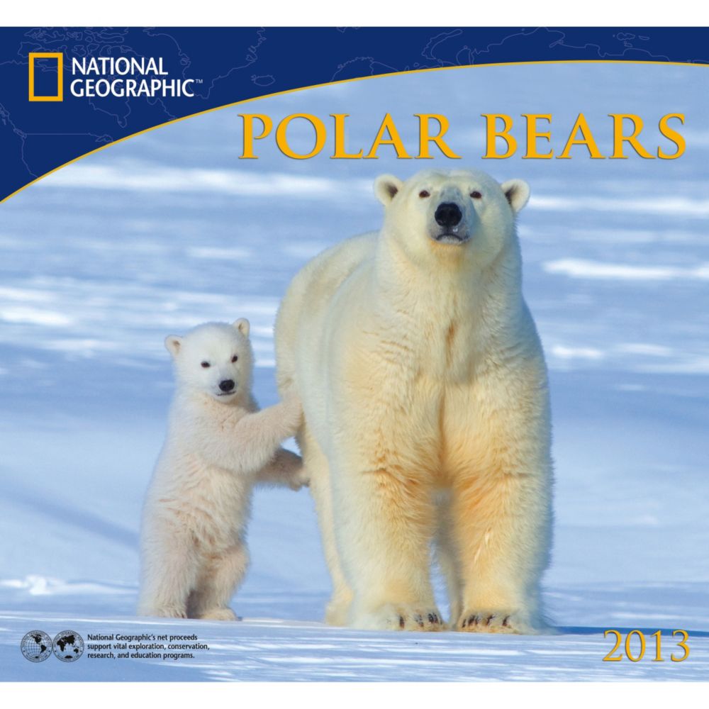2013 National Geographic Polar Bears Wall Calendar