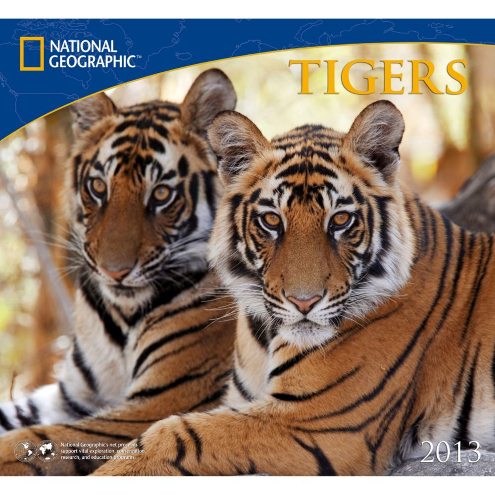 2013 National Geographic Tigers Wall Calendar