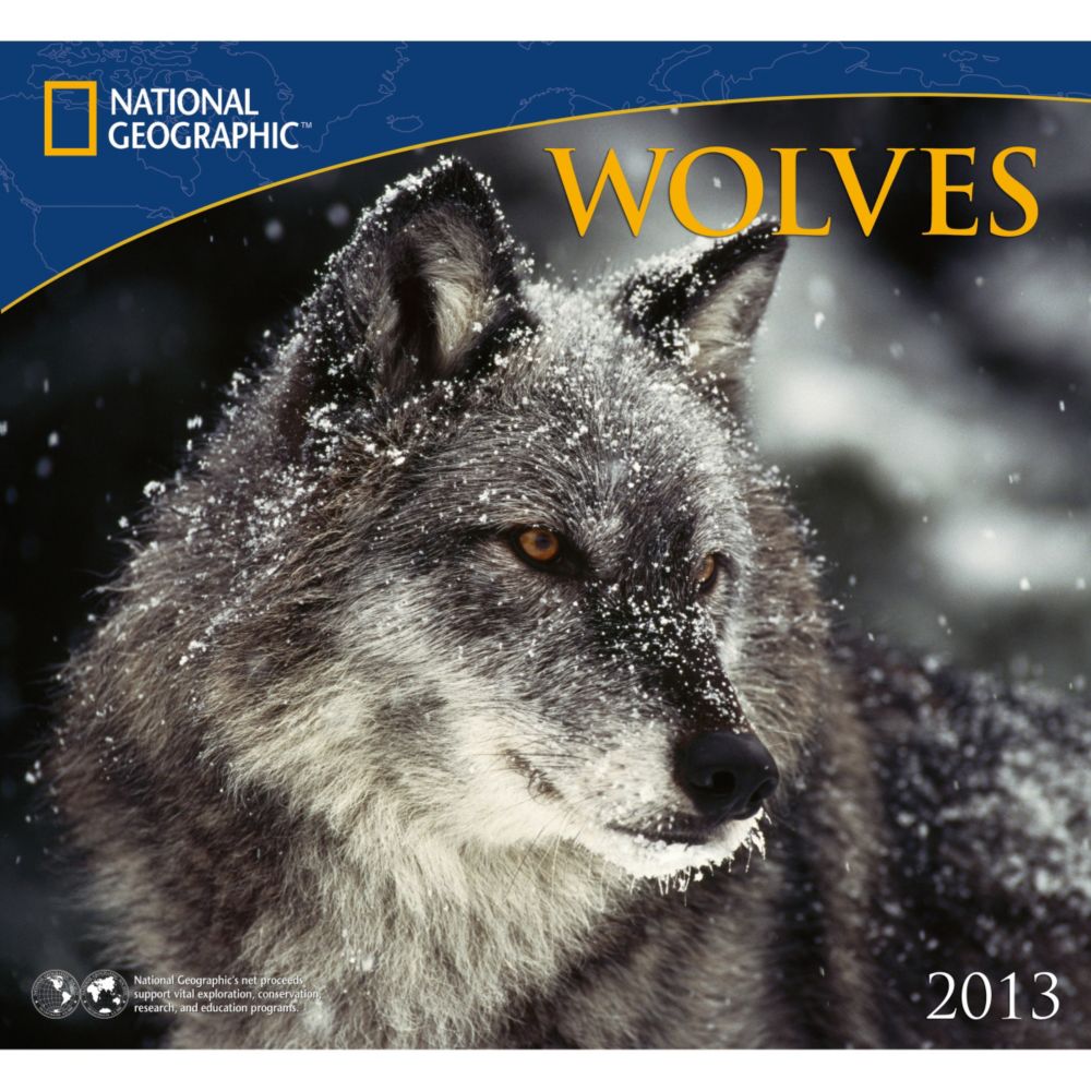 2013 National Geographic Wolves Wall Calendar