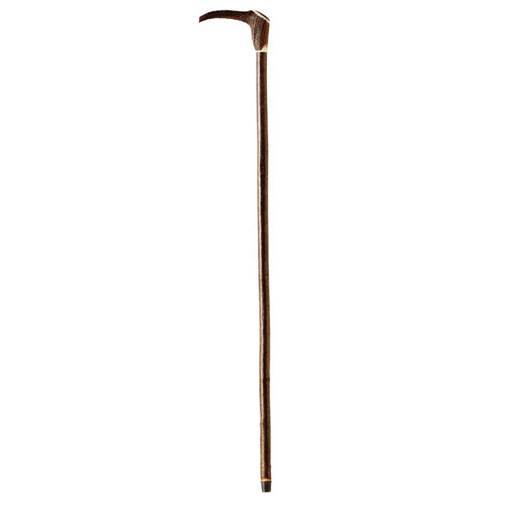 Scottish Staghorn Walking Stick