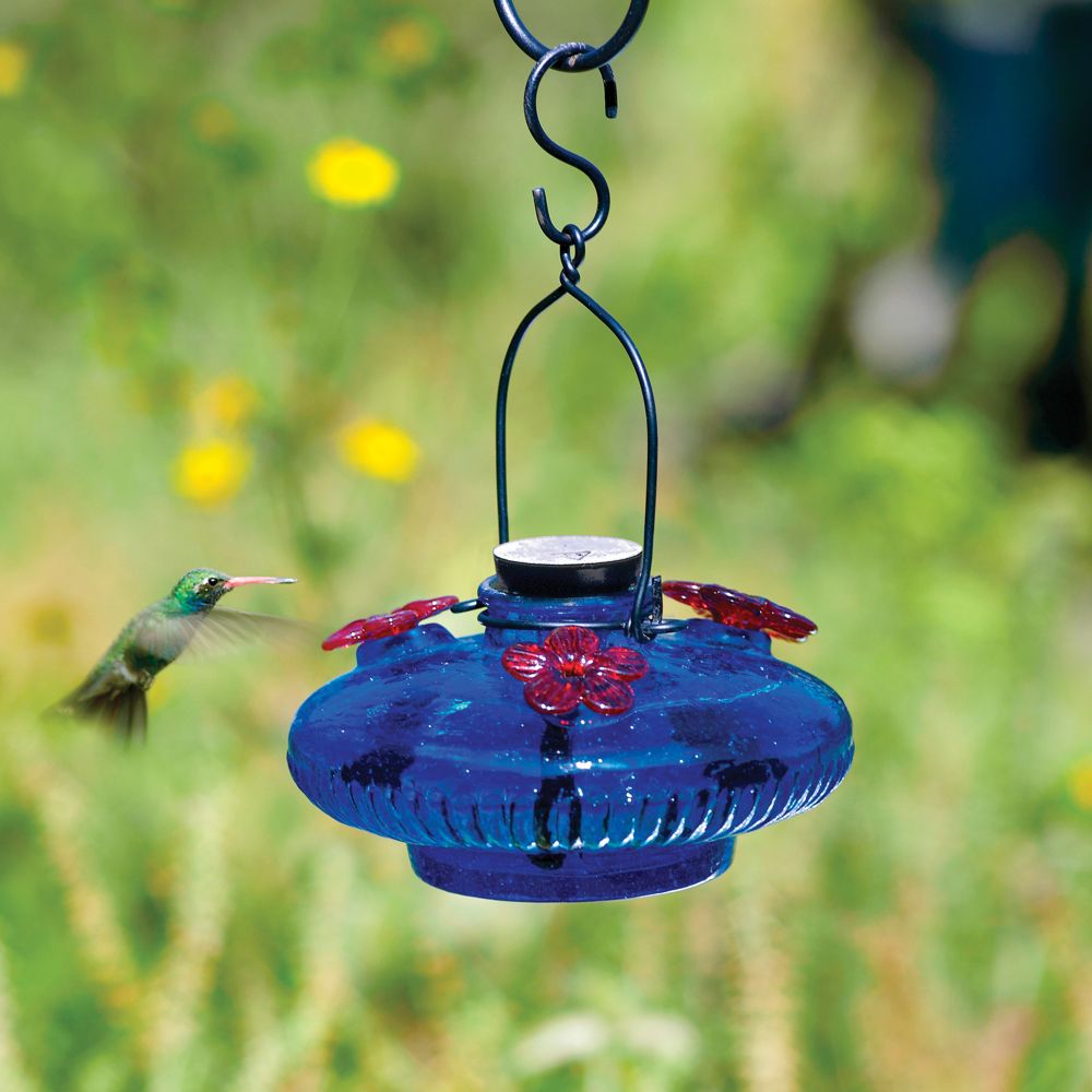 Handblown Glass Hummingbird Feeder