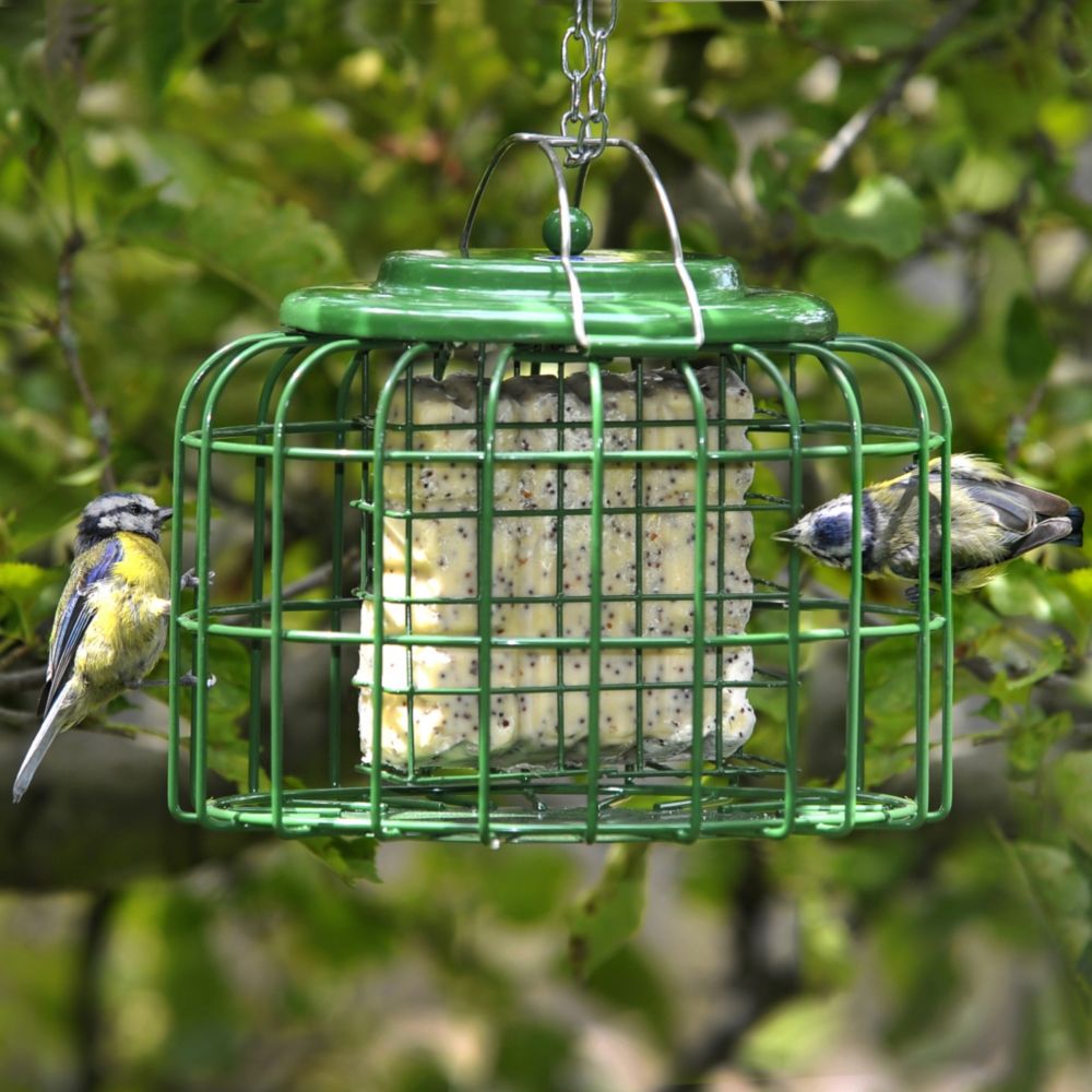 Safe Haven Suetcake Feeder
