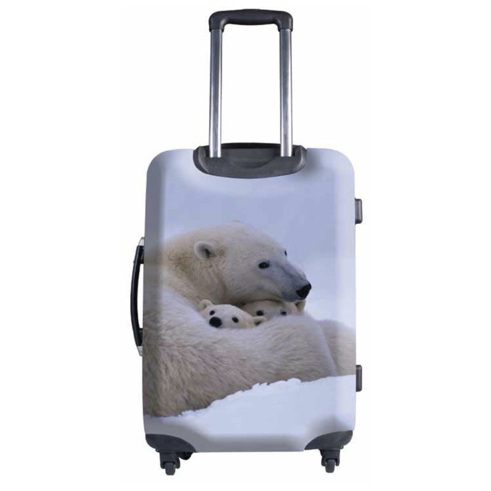 National Geographic Explorer 20-inch Polar Bear Hardside Luggage