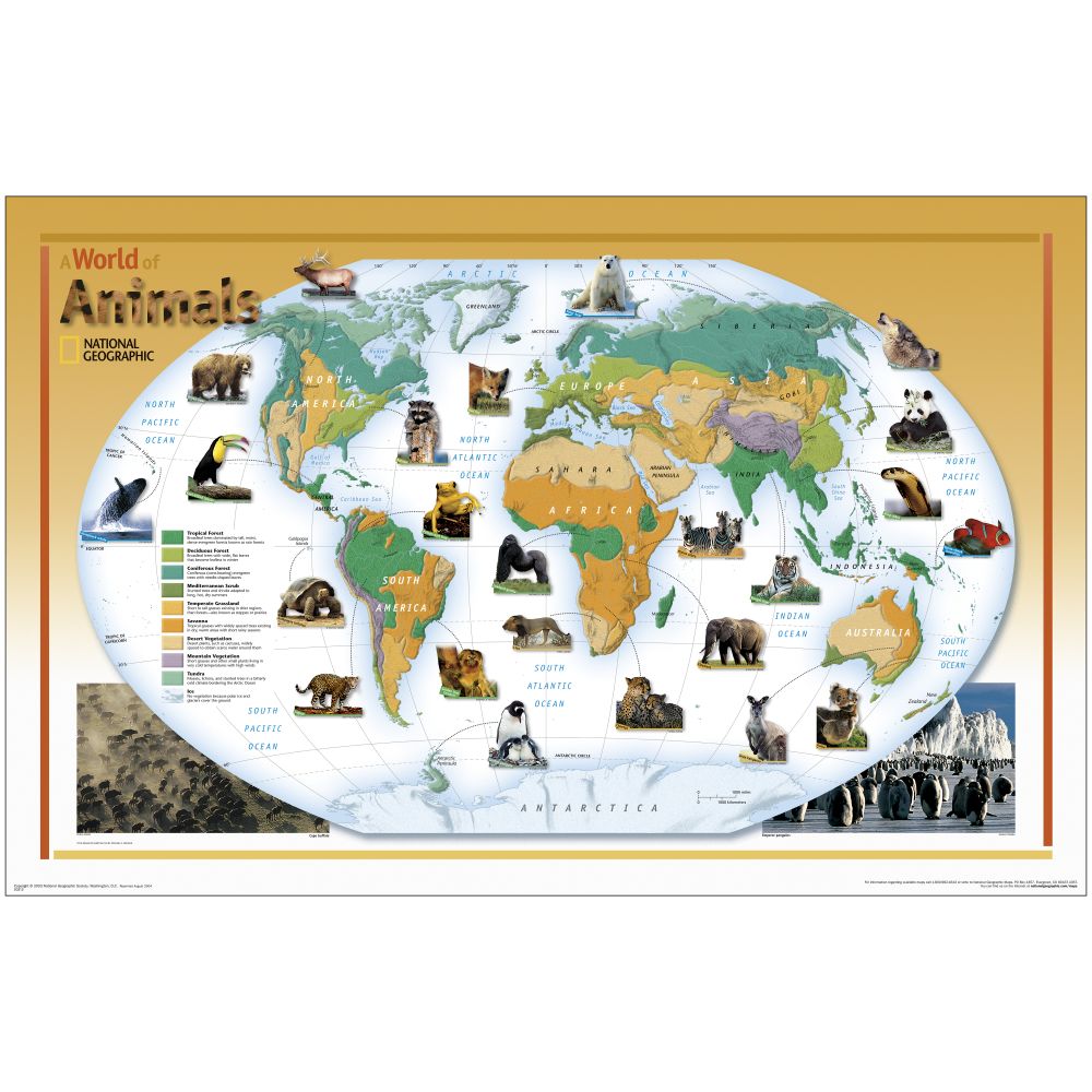 World of Animals Map, Laminated