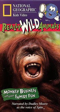 Really Wild Animals: Monkey Business and Other Family Fun Video