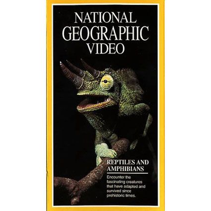 Reptile and Amphibians Video 