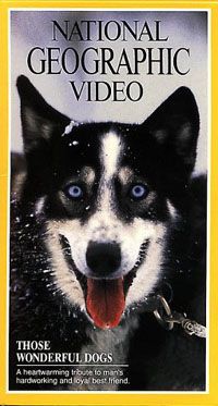 Those Wonderful Dogs Video  - Get Details