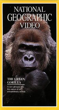 The Urban Gorilla Video 