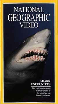 Shark Encounters Video 