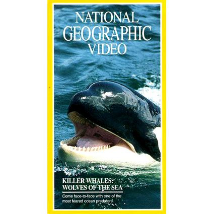 Killer Whales: Wolves of the Sea Video 