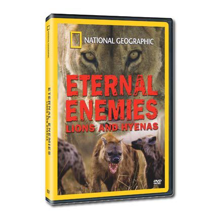 Eternal Enemies: Lions & Hyenas Video 